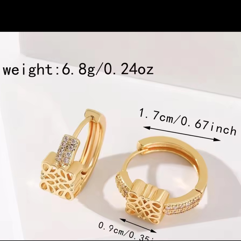 Elegant Gold Hoop Earrings